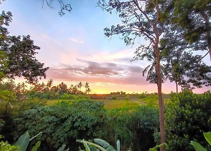 ロッジ Uma Manyar Sunset Singapadu Tengah
