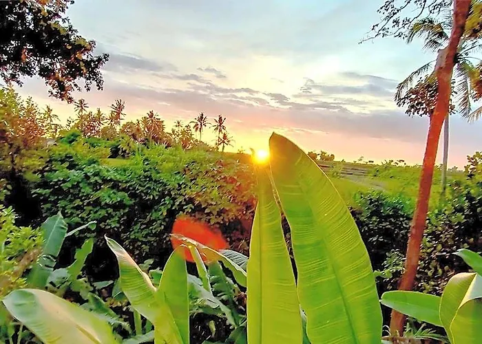 Uma Manyar Sunset *